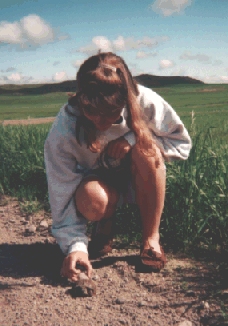 Laurie and Box Turtle